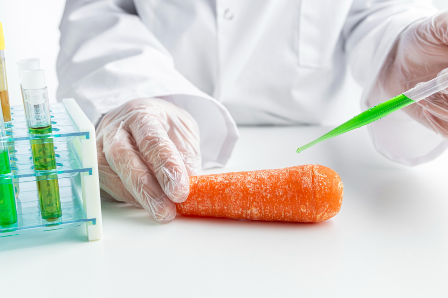 GMO 식품의 단점