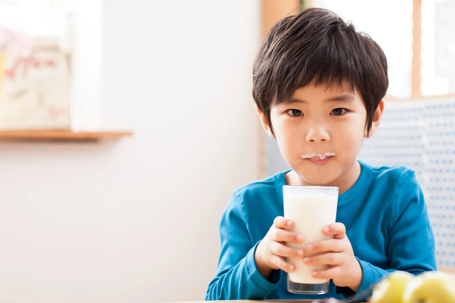 어린이 영양제 간식